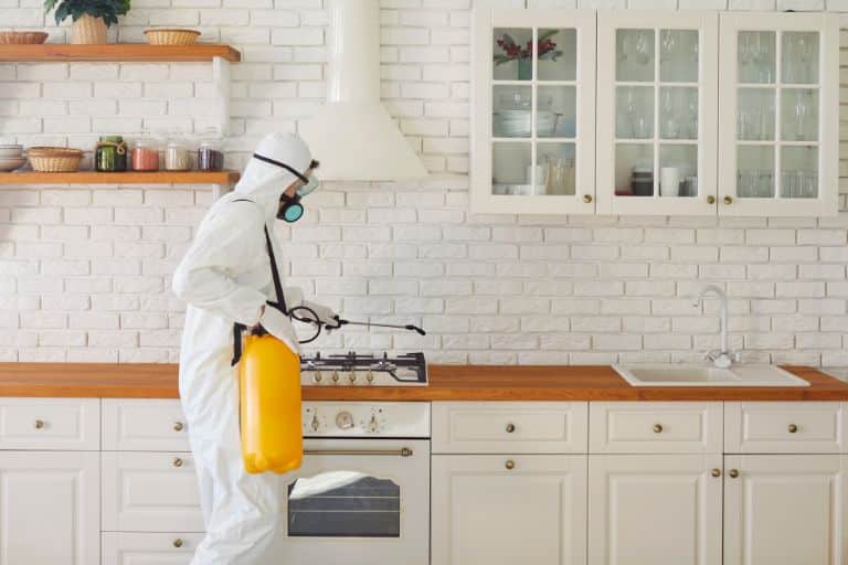 Residential Pest Control Service